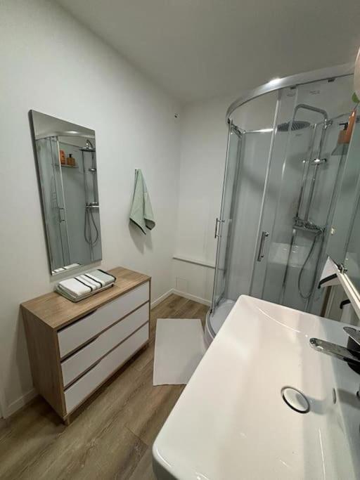 T3 Pied De La Gare + Centre Commercial Tout Inclus Орлеан Екстер'єр фото